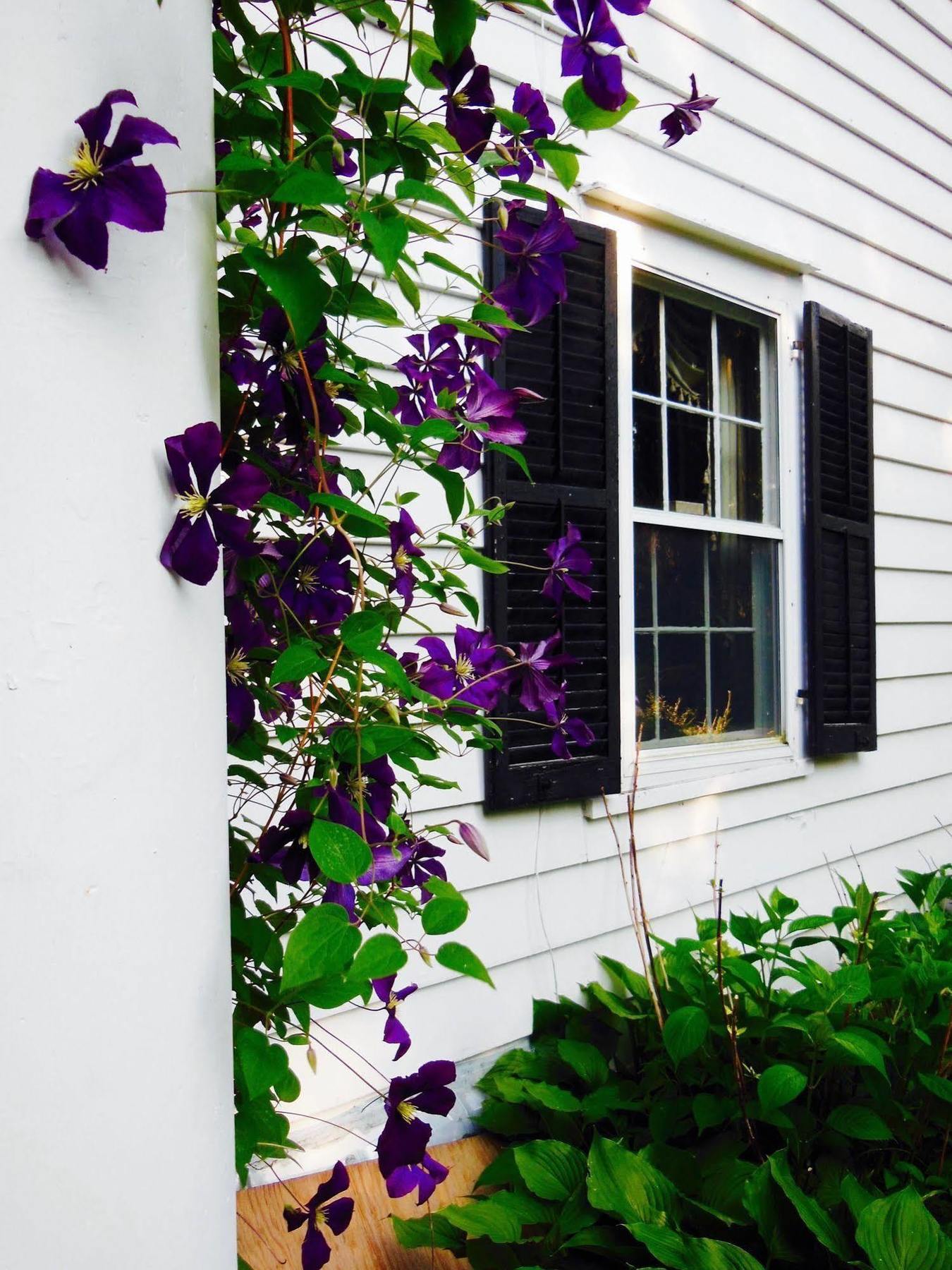 Millbrook Country House Exterior foto